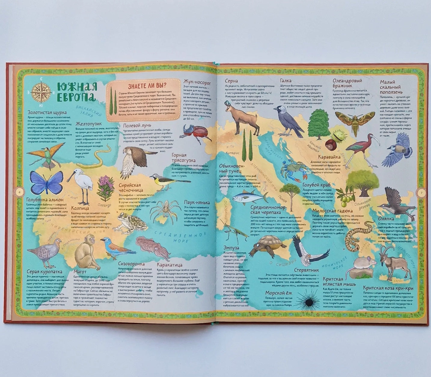 Атлас животных и растений мира