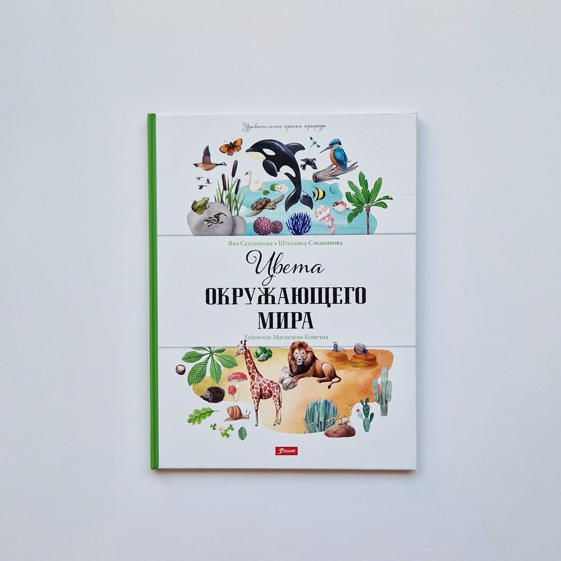 Цвета окружающего мира