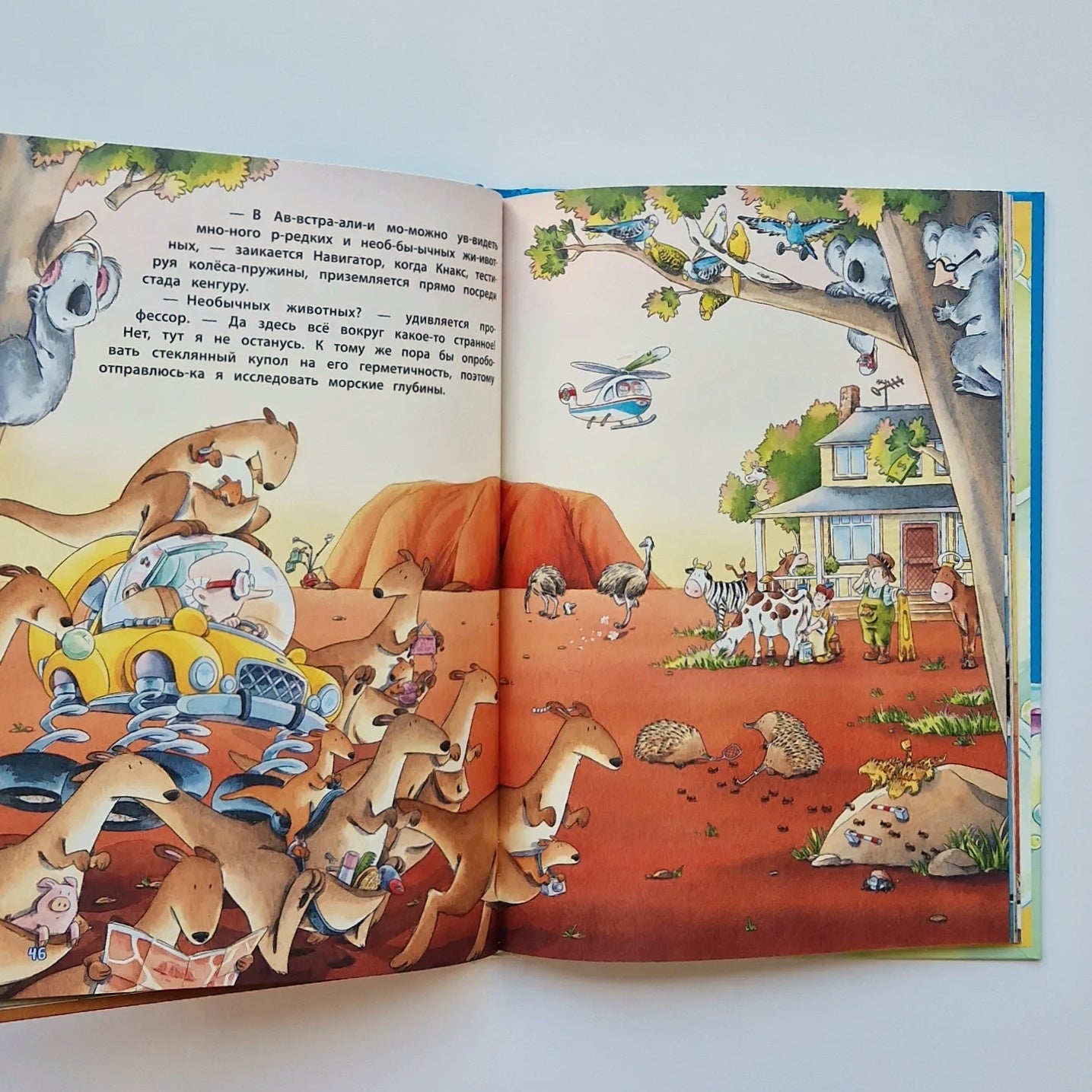 Что не так, профессор Кнакс? Книга-путаница