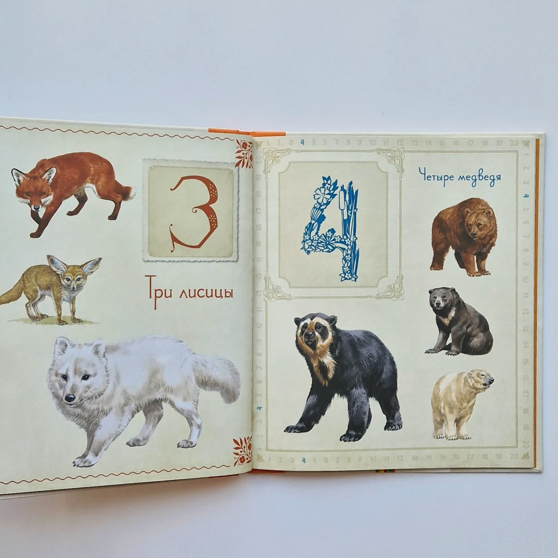 Живые цифры