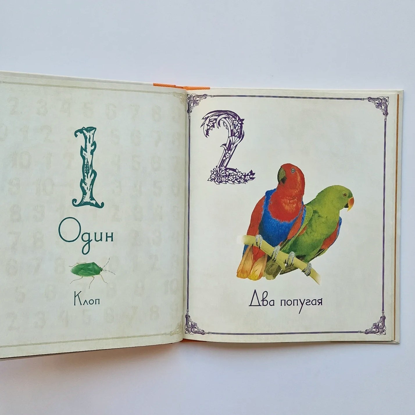 Живые цифры