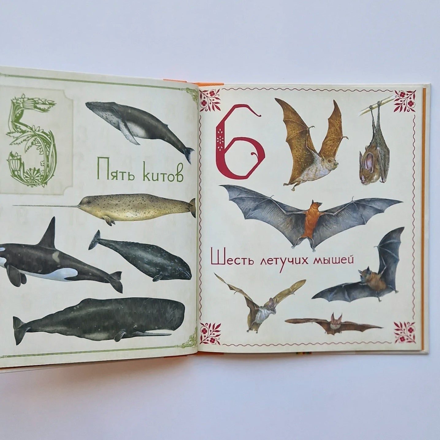 Живые цифры