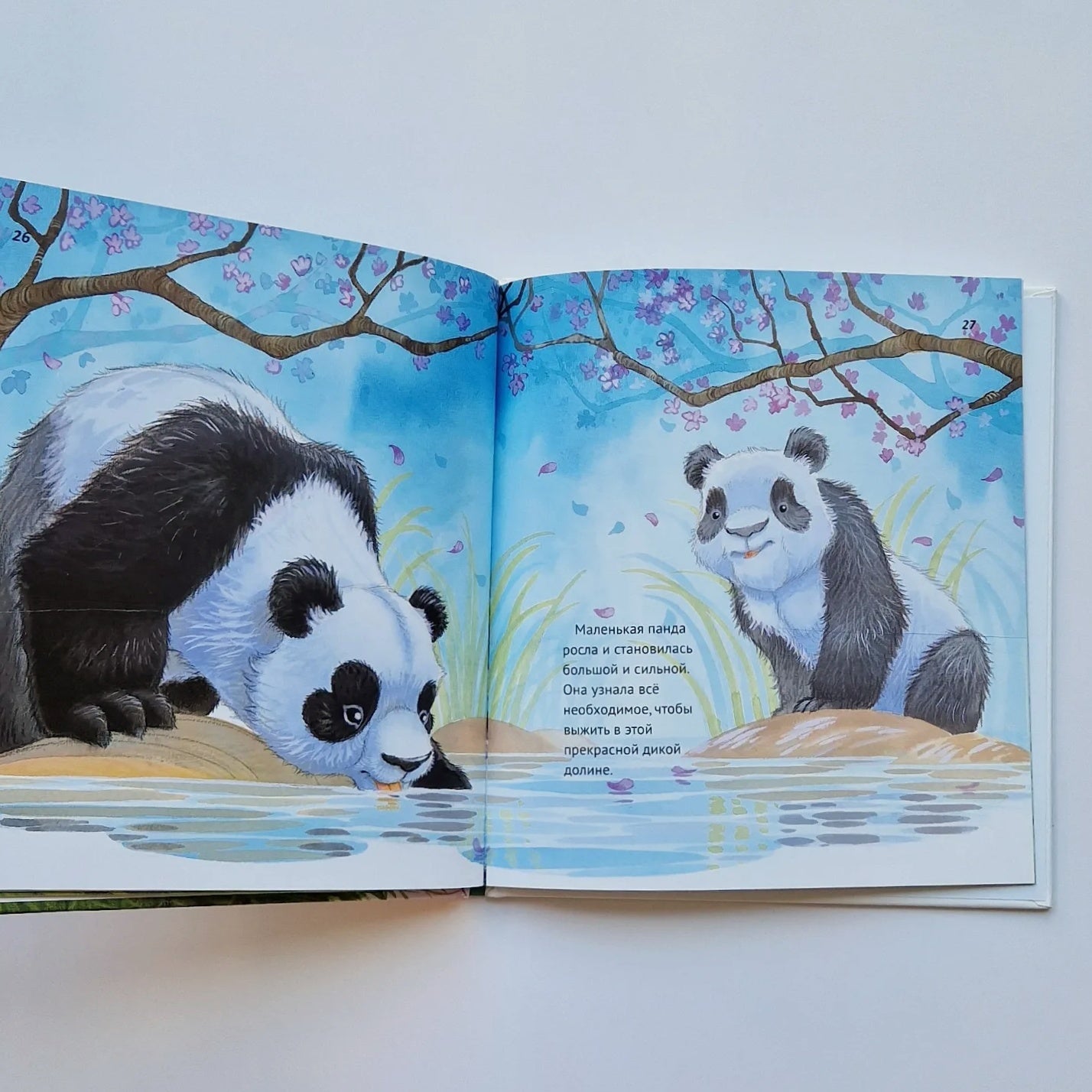 Что делает меня счастливой?