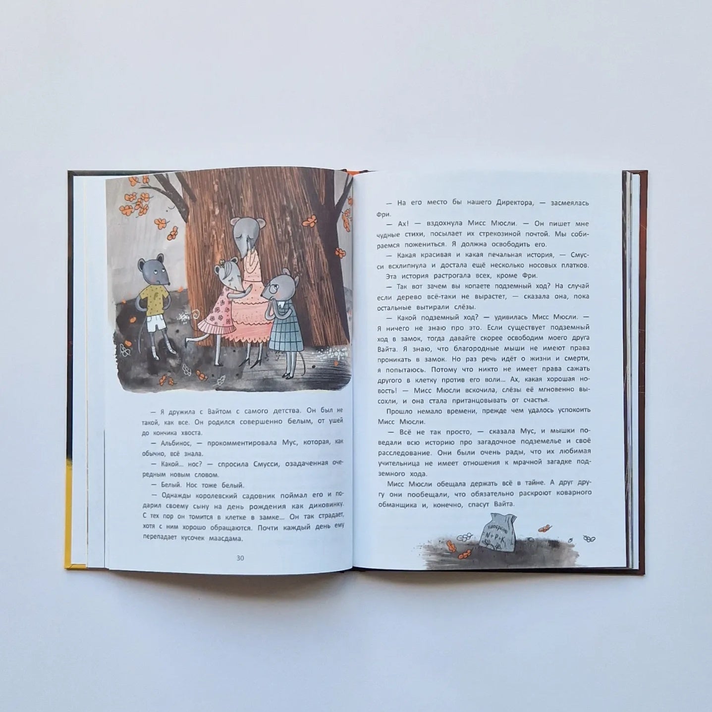 Школа благородных мышей