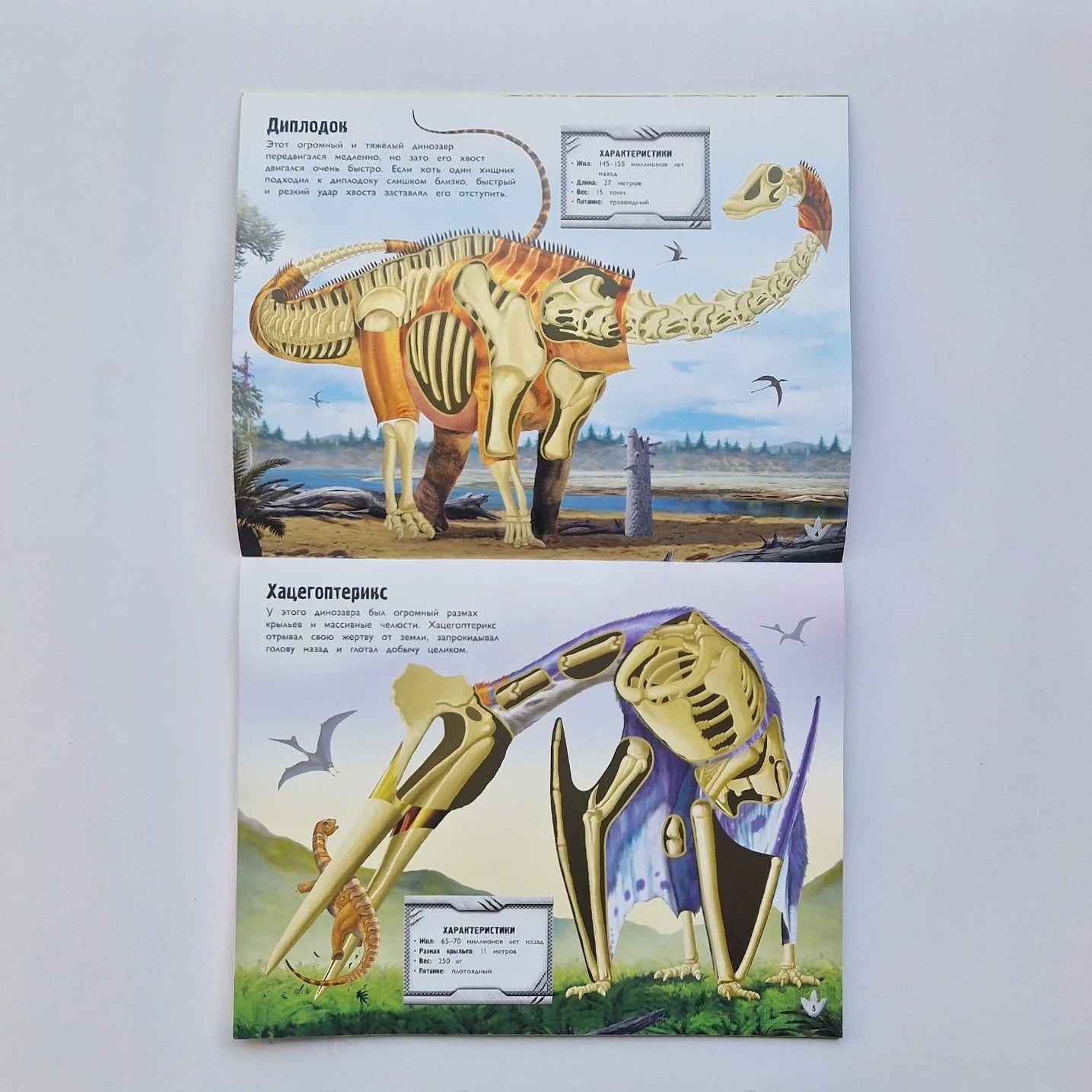 Dinosaurs 