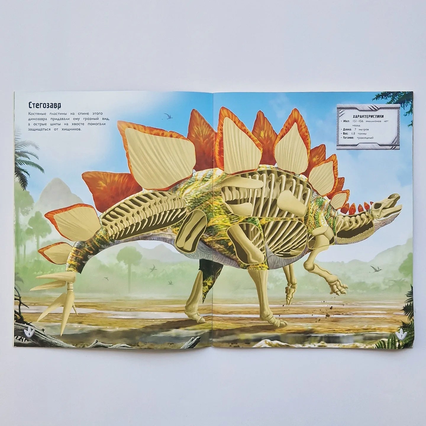 Dinosaurs 