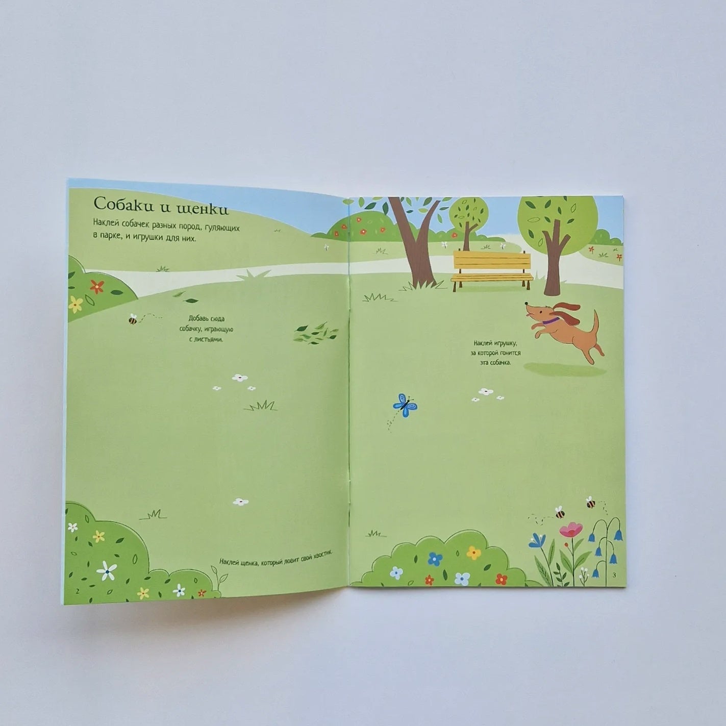 Мои питомцы