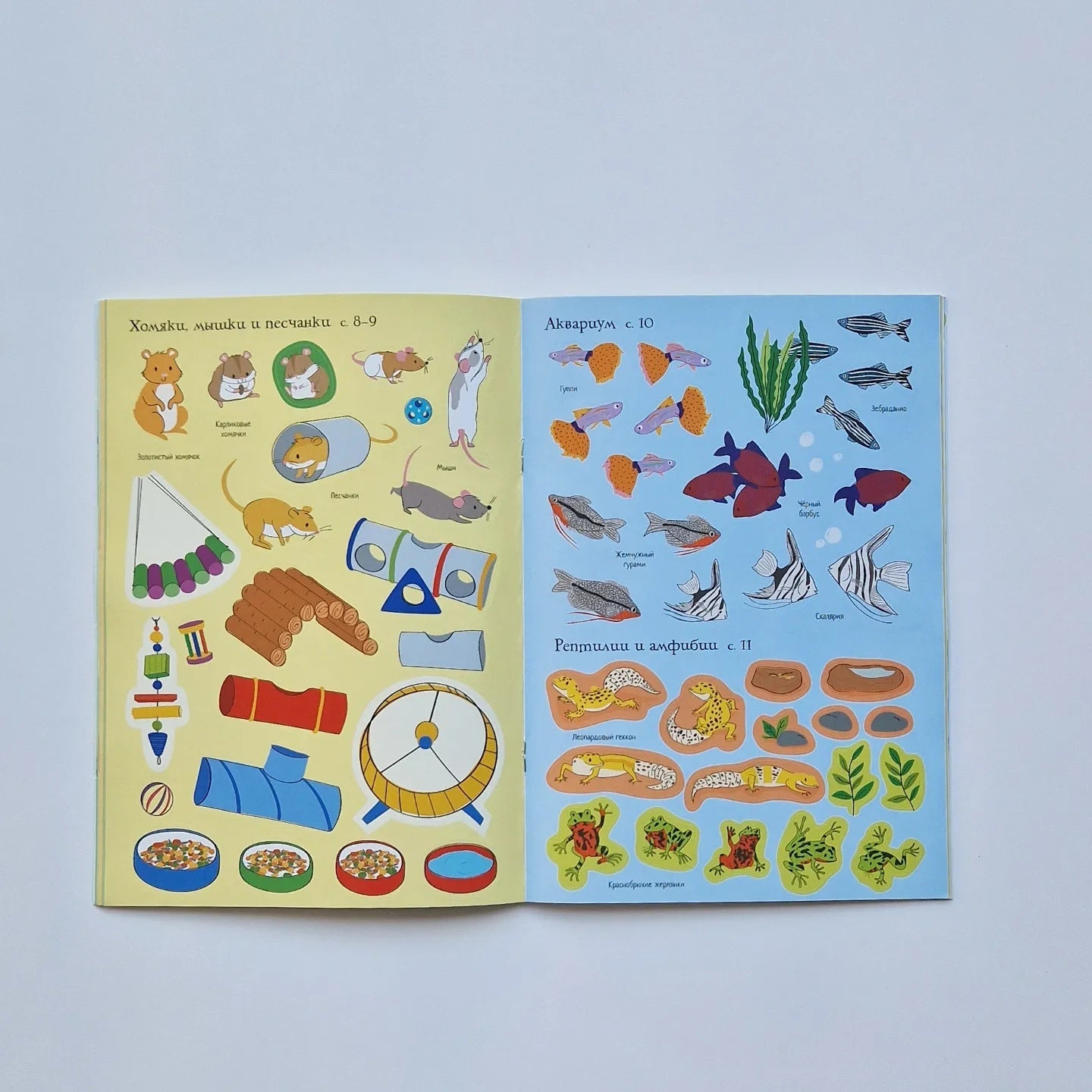 Мои питомцы