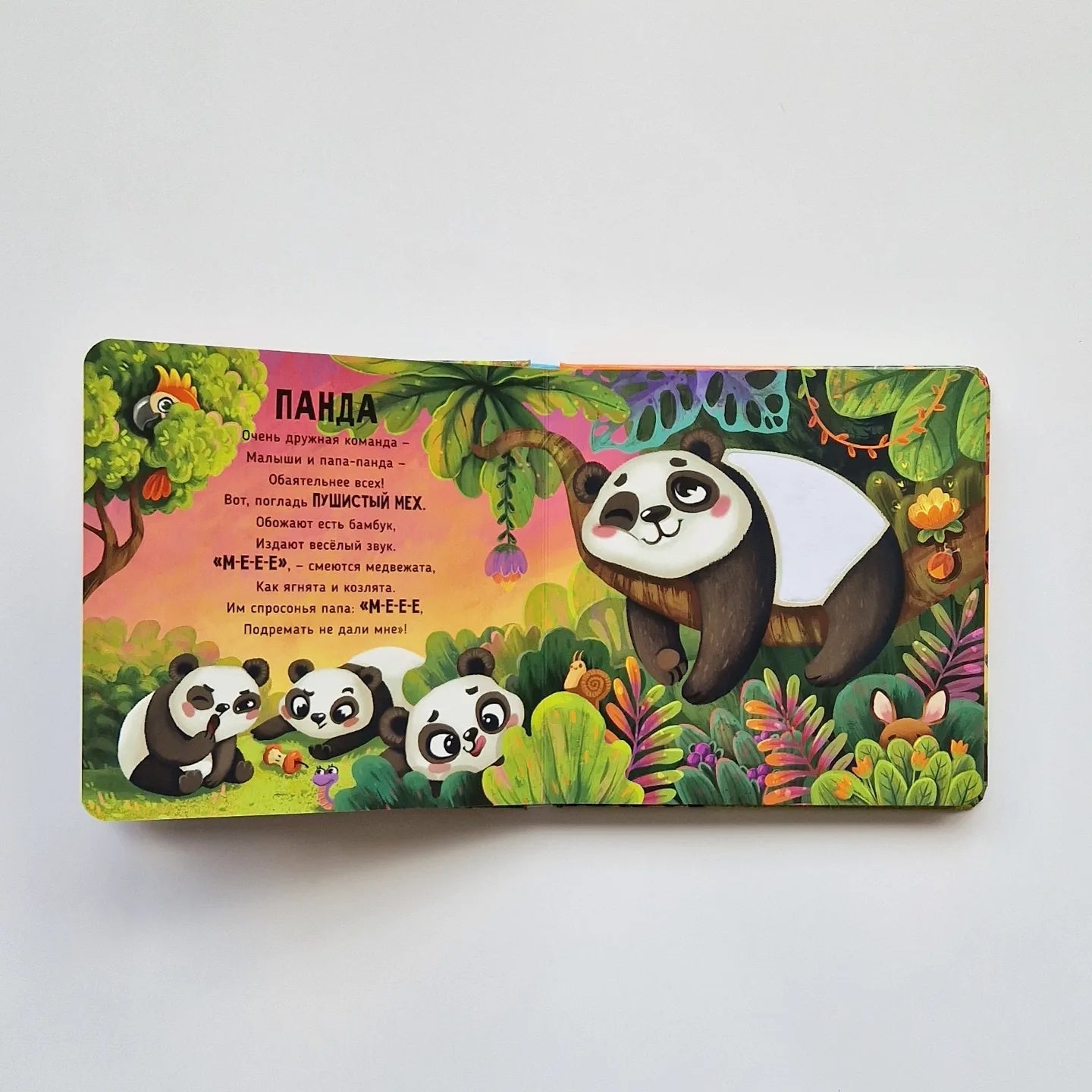 Трогательные истории. Сафари