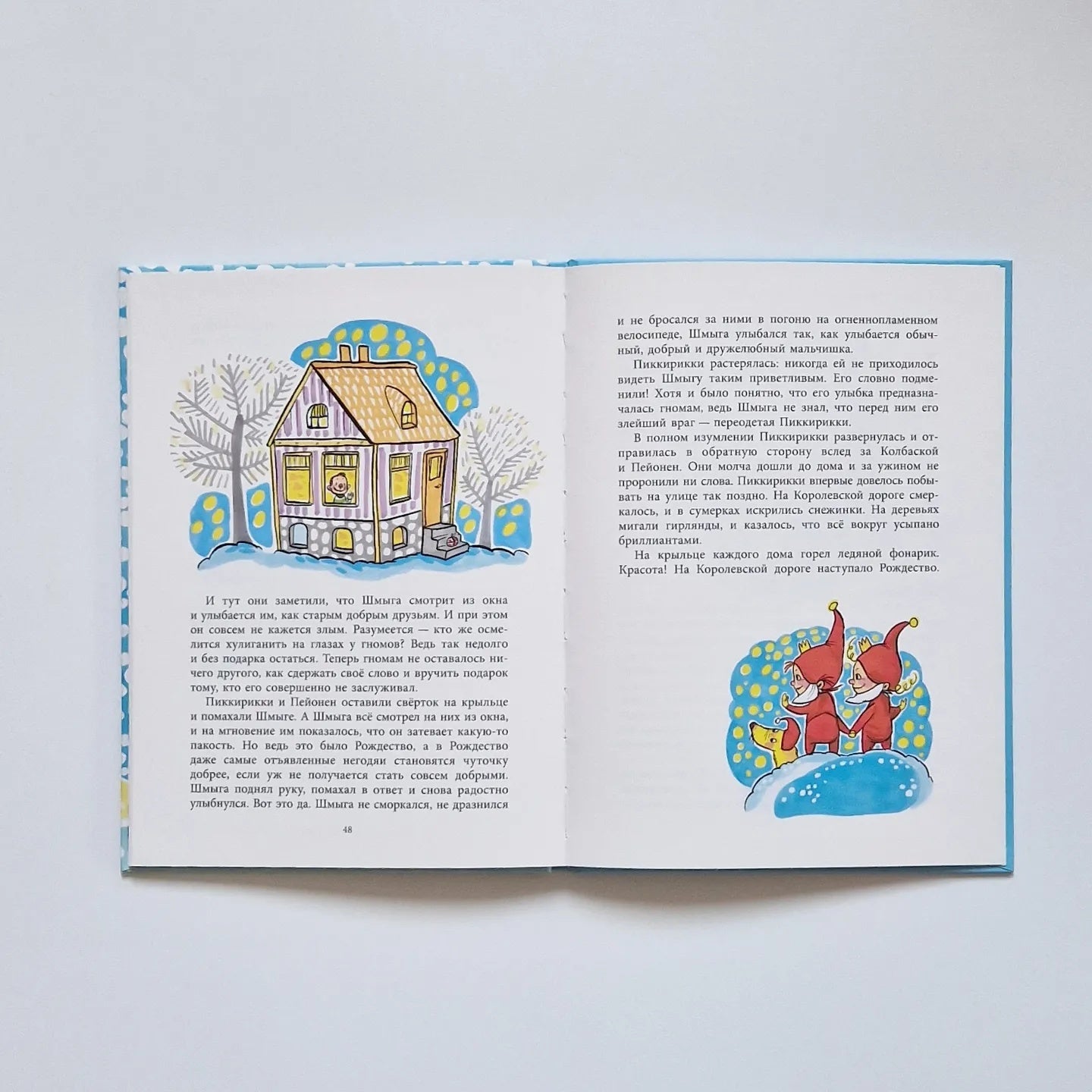 Зимние приключения принцессы Пиккирикки