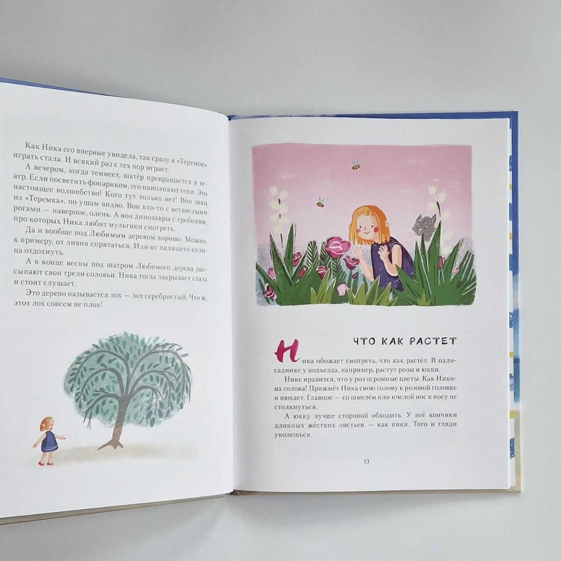 Лебеднадцать лебедей и чаексят чаек