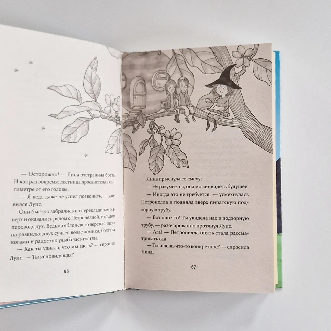 Петронелла и темная история с цирком