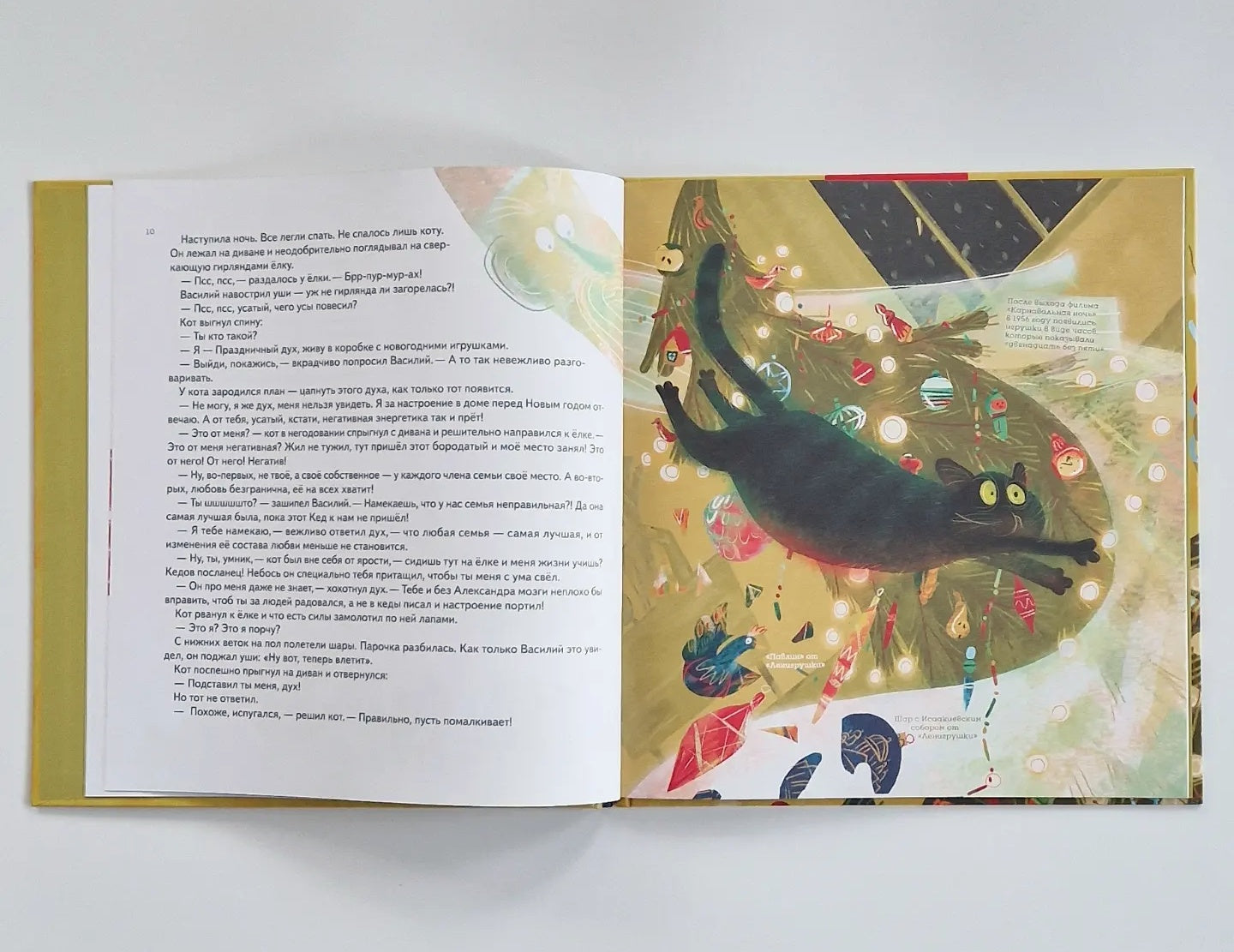 Книга-котострофа. Кот и Новый год!