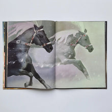 Load image into Gallery viewer, Cinderella

