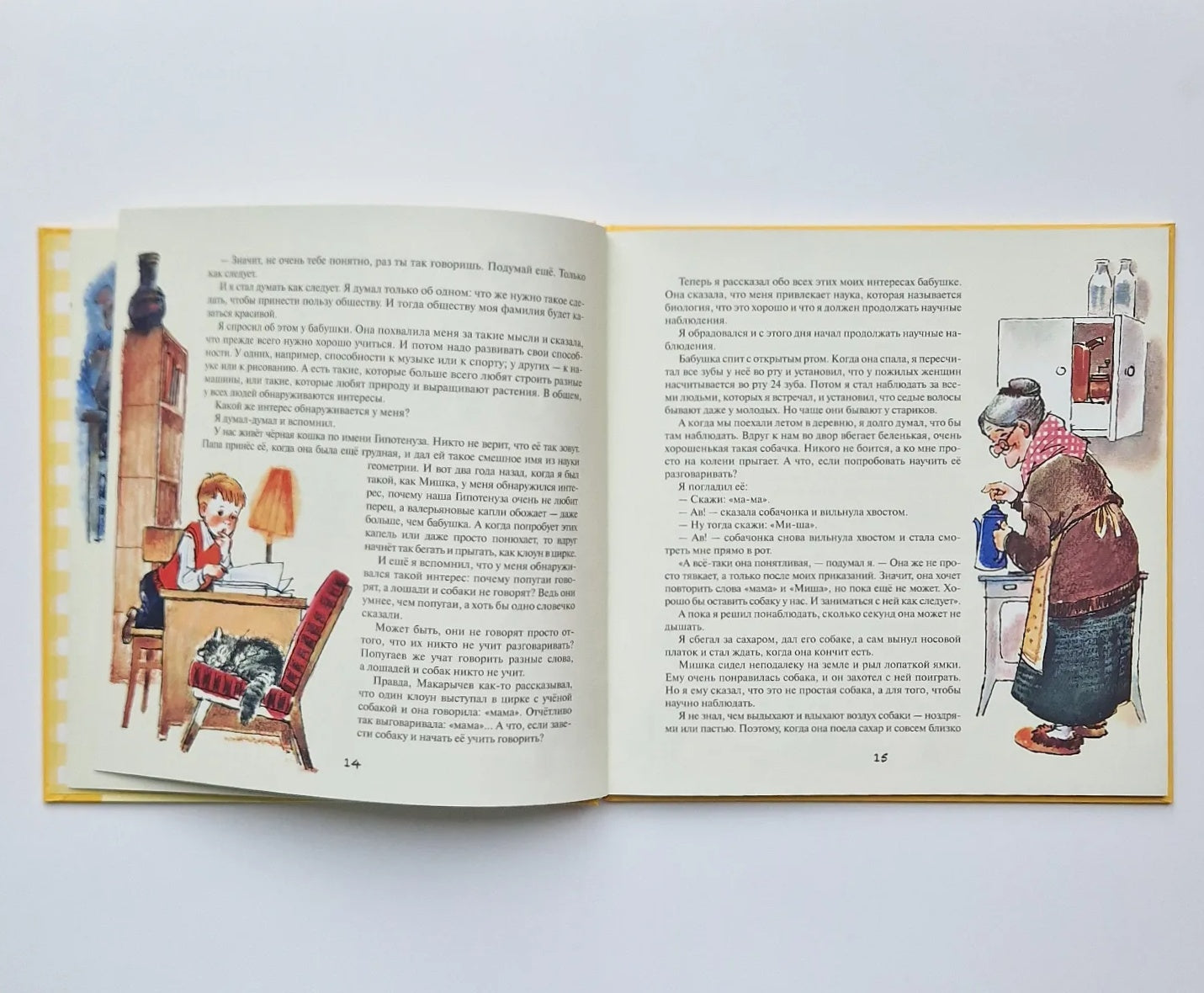 Невезучка: несколько смешных историй из жизни семилетнего человека, которому не везет