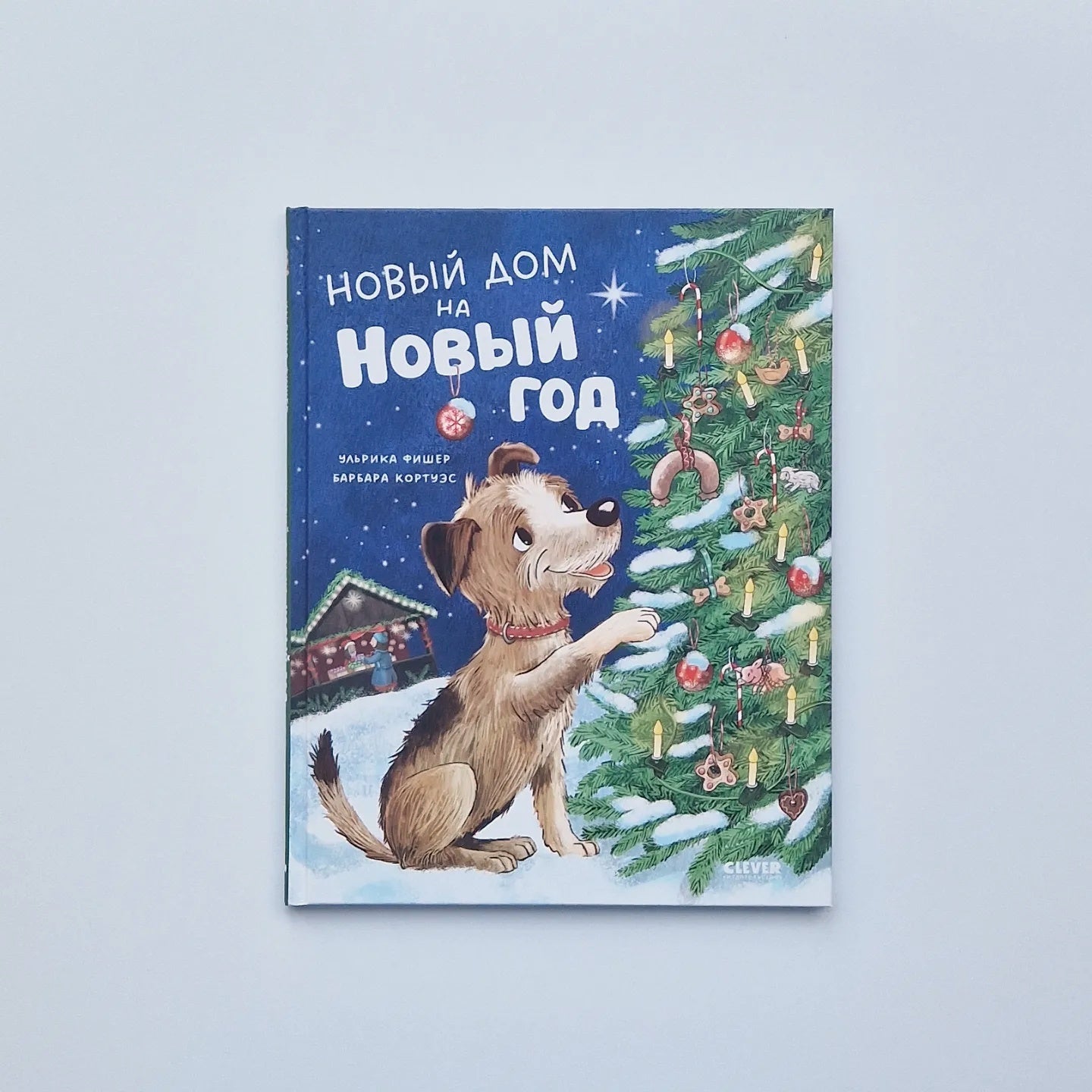 New house for New Year 