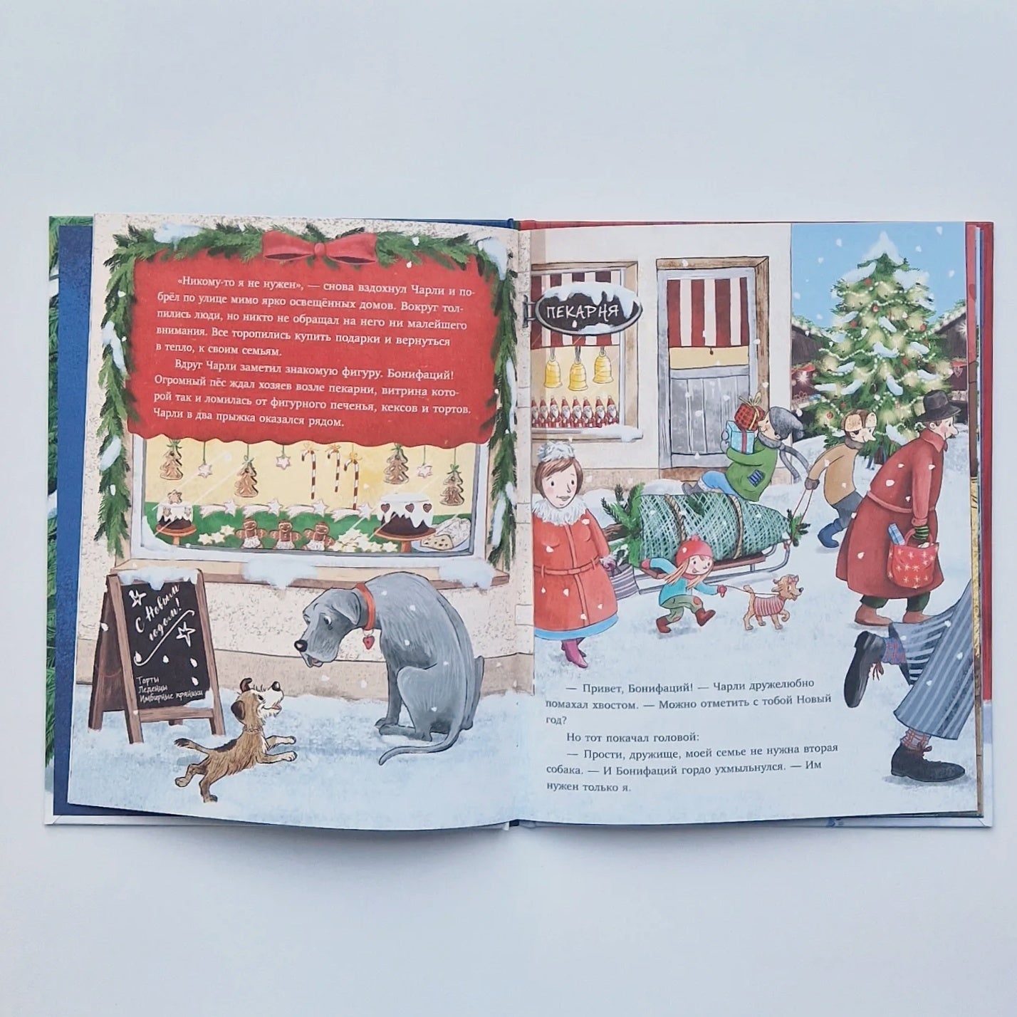 New house for New Year 