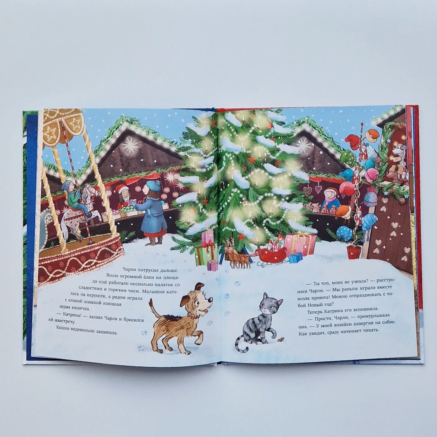 New house for New Year 