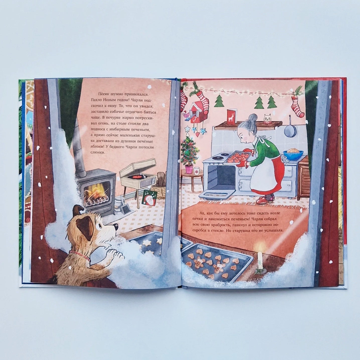 New house for New Year 