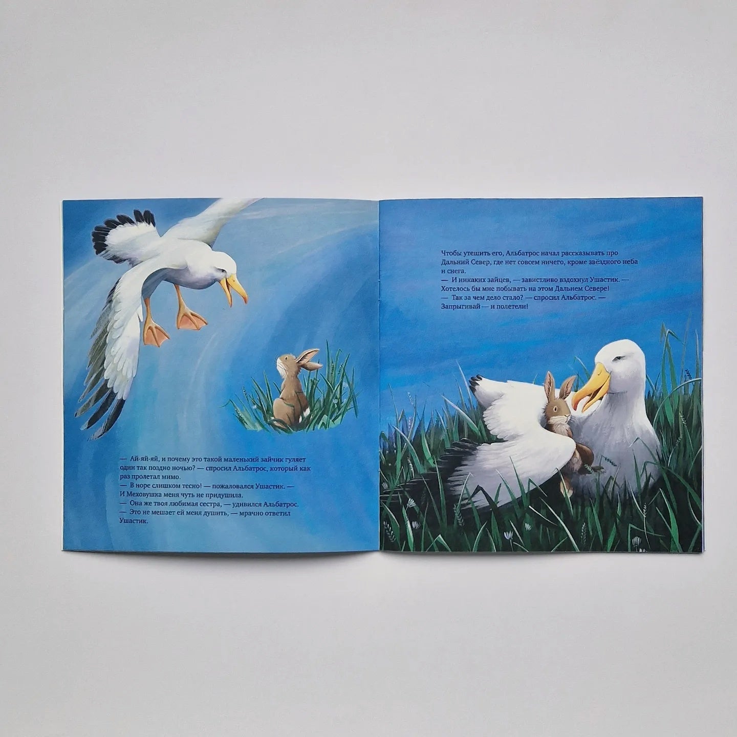 Зайчонок хочет домой (мягкий переплет)