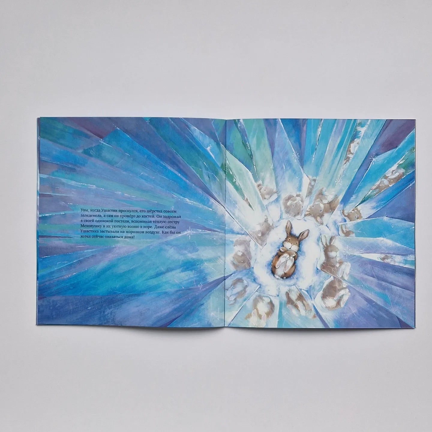 Зайчонок хочет домой (мягкий переплет)