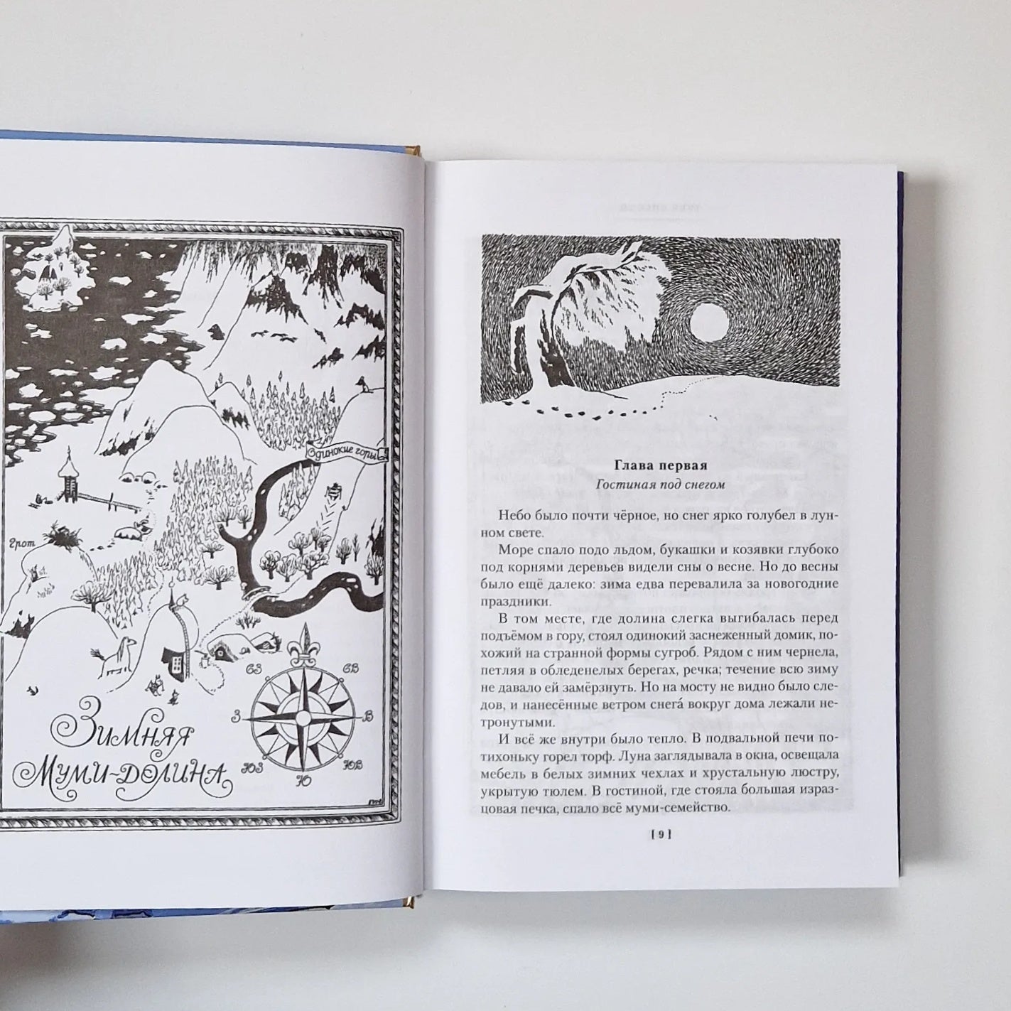 Homecoming. Moomins and all, all, all. Book 2