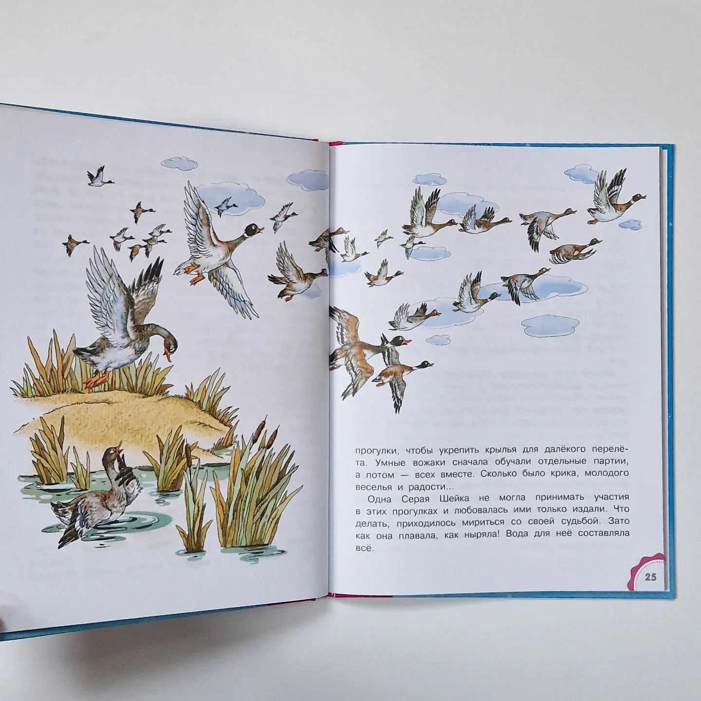 Зимние сказки