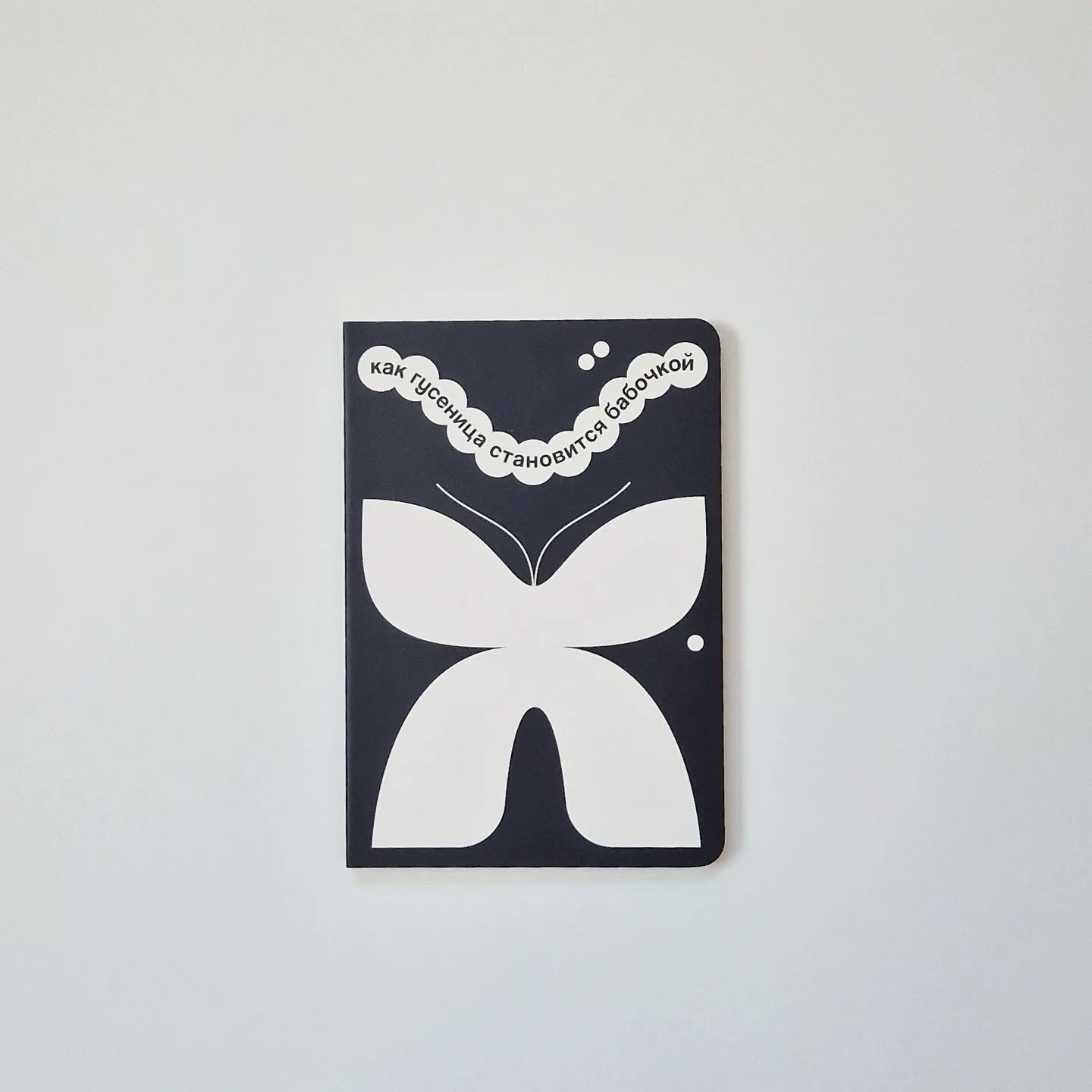 Как гусеница становится бабочкой