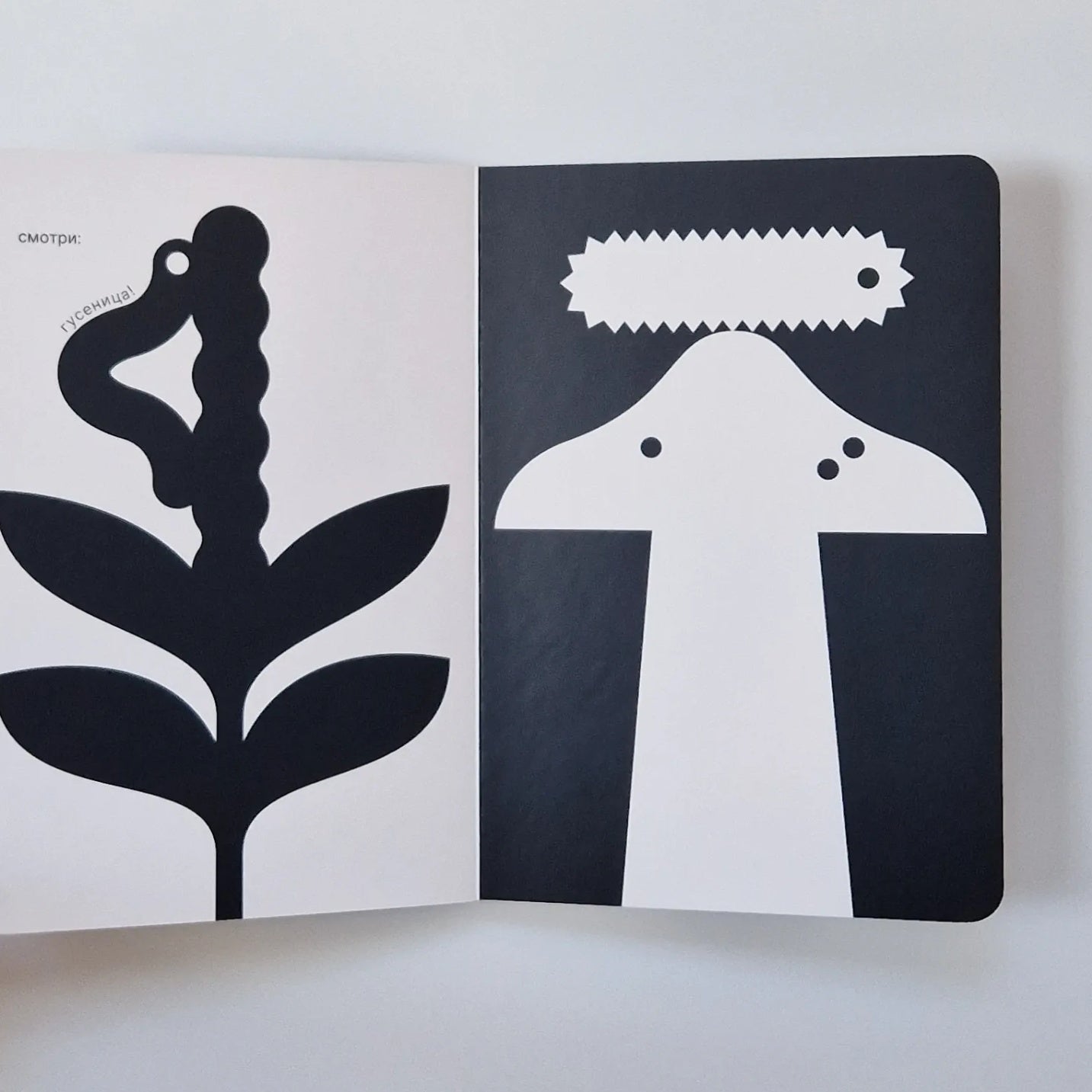 Как гусеница становится бабочкой