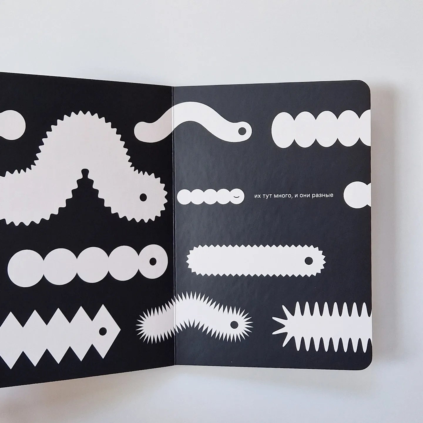 Как гусеница становится бабочкой