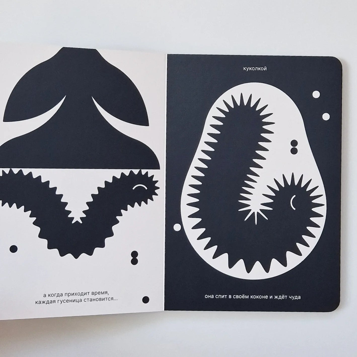 Как гусеница становится бабочкой