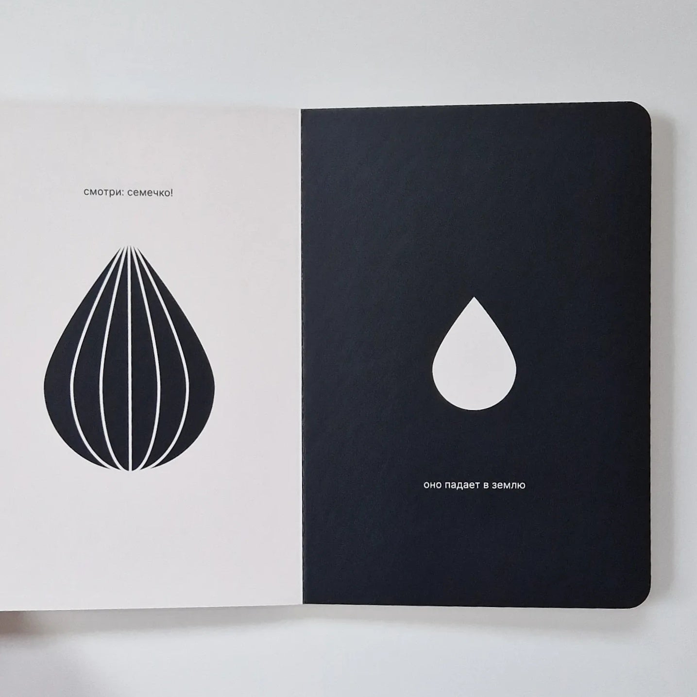 Как семечко становится цветочным полем