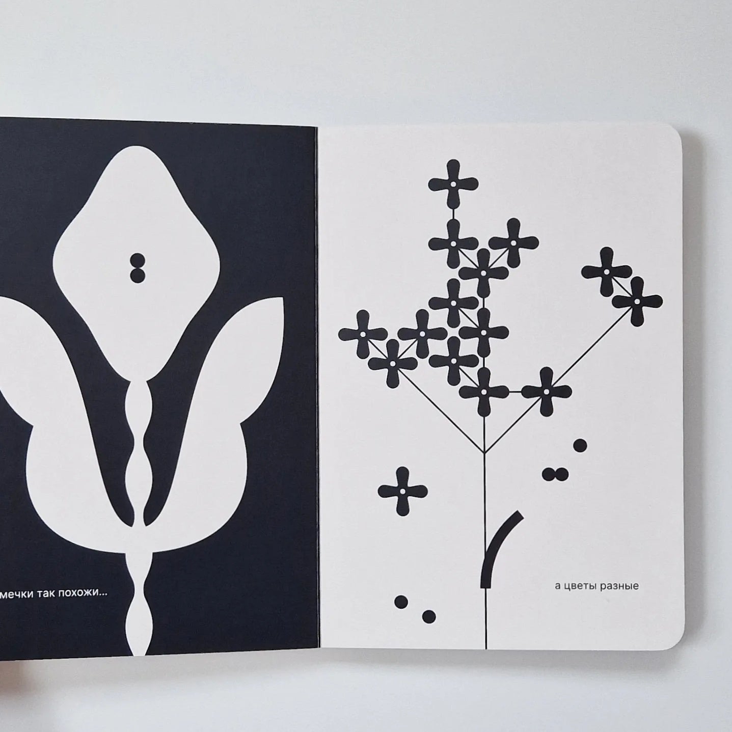 Как семечко становится цветочным полем