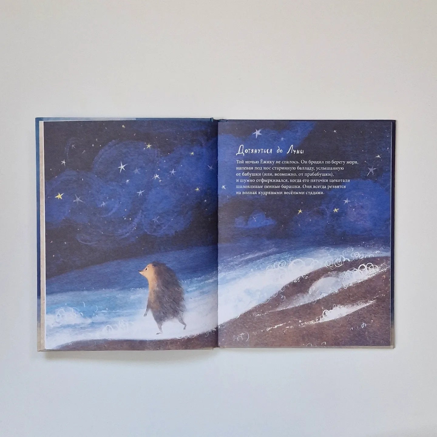 Ёжик, который хотел обнять Луну