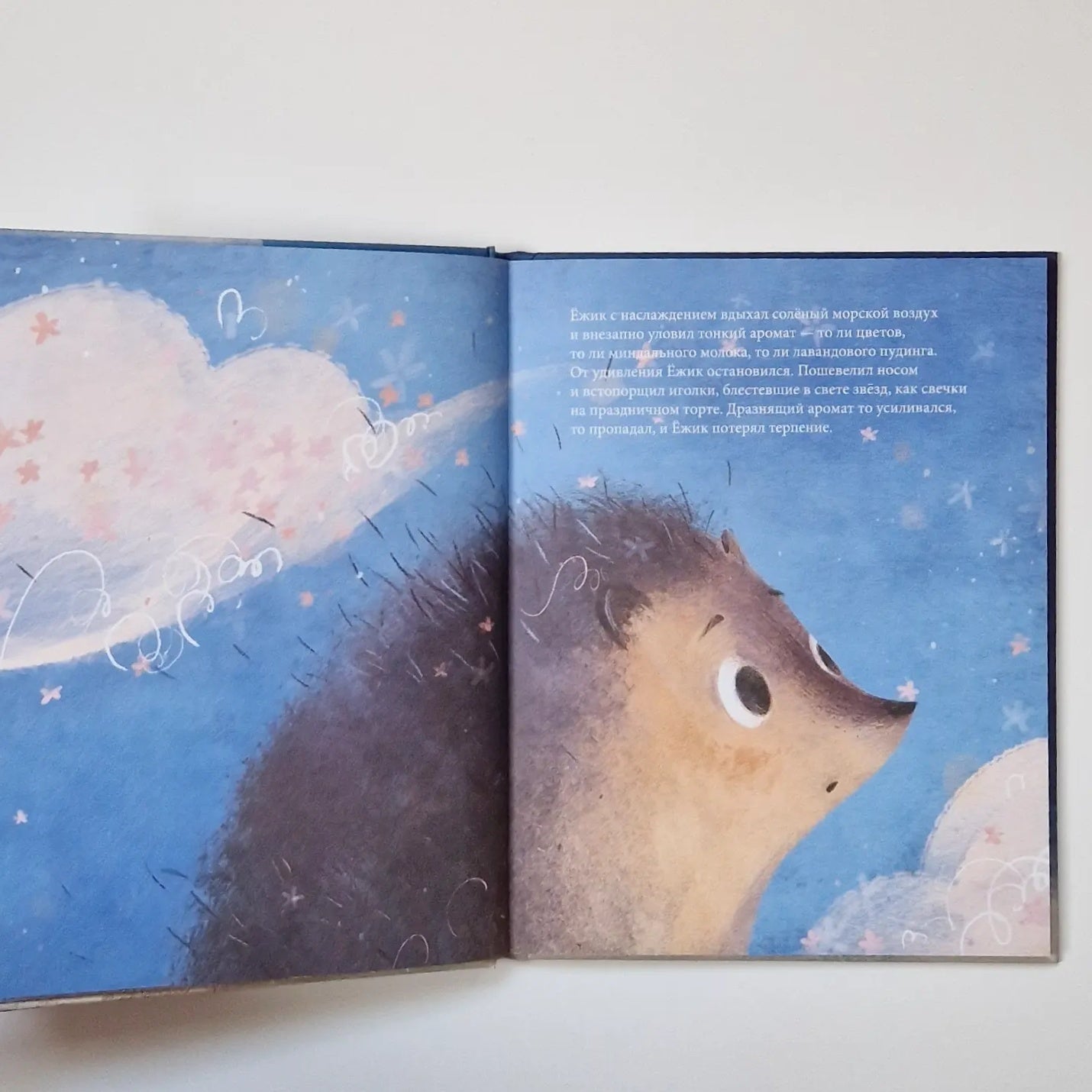 Ёжик, который хотел обнять Луну