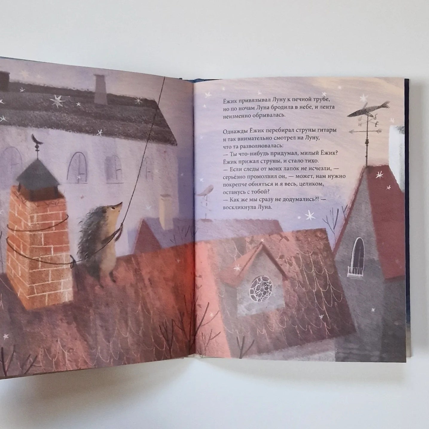 Ёжик, который хотел обнять Луну