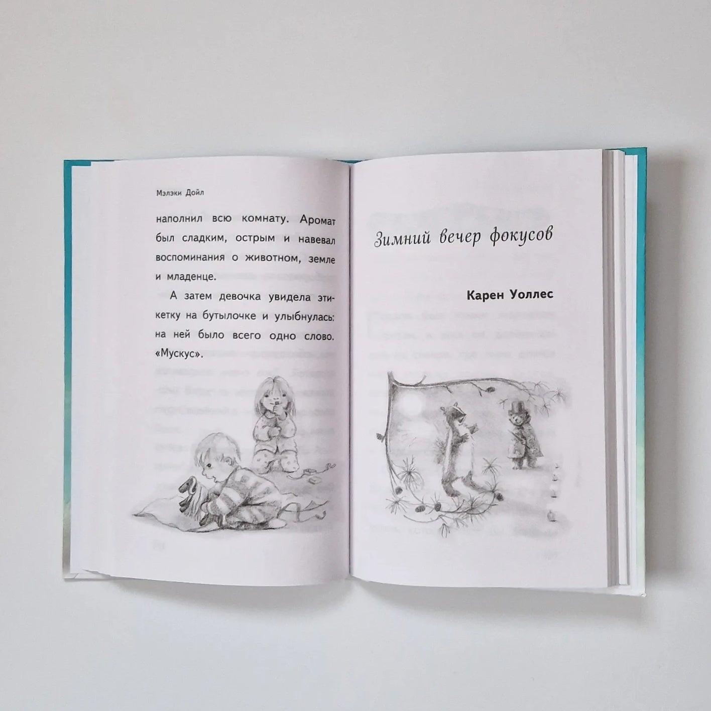 Пора снежных историй