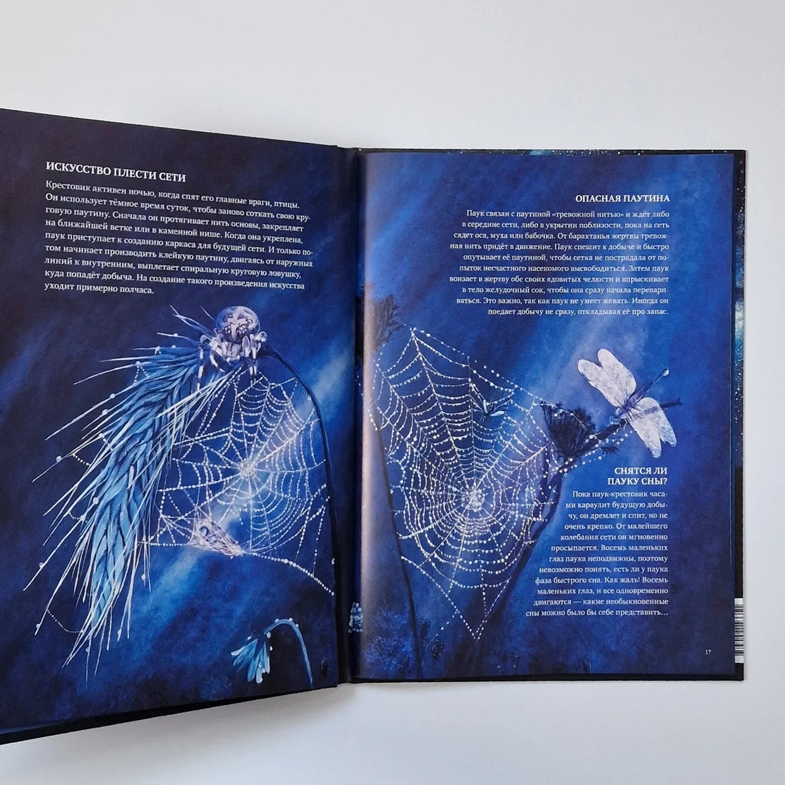 Does everyone sleep at night?