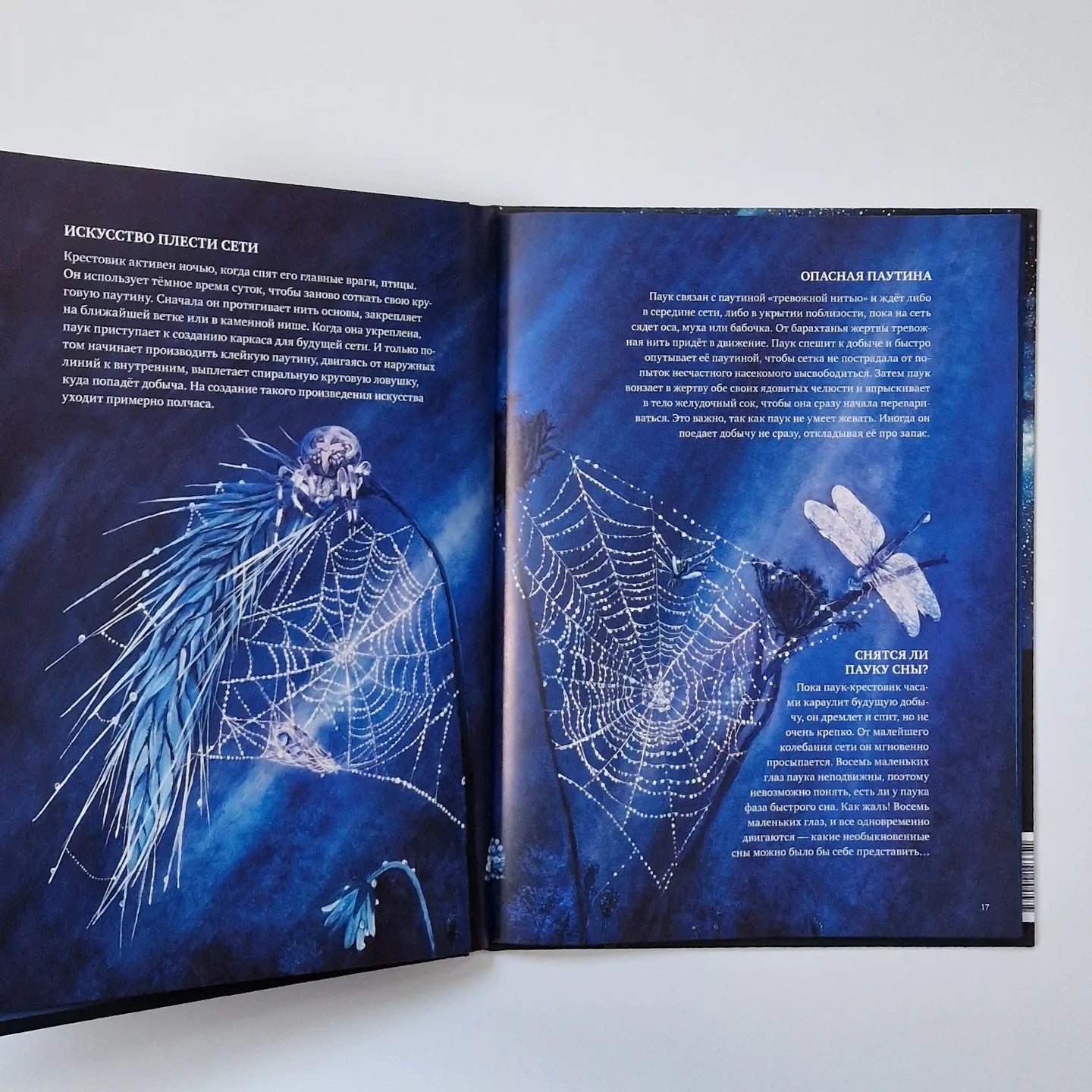 Does everyone sleep at night?