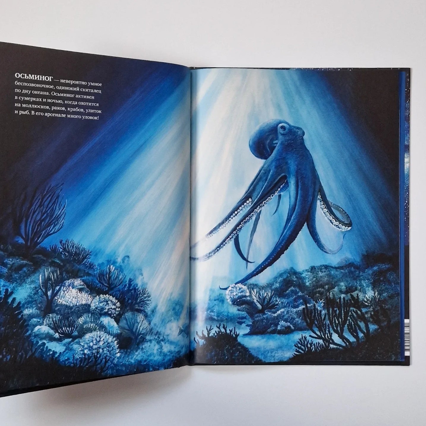 Does everyone sleep at night?