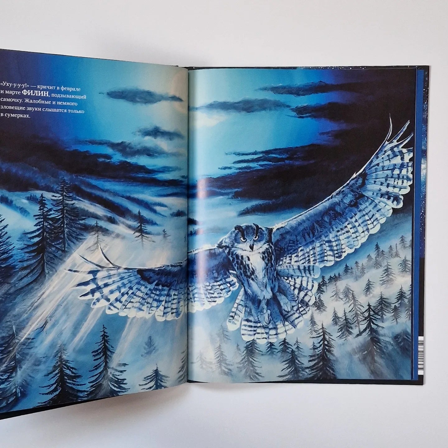 Does everyone sleep at night?