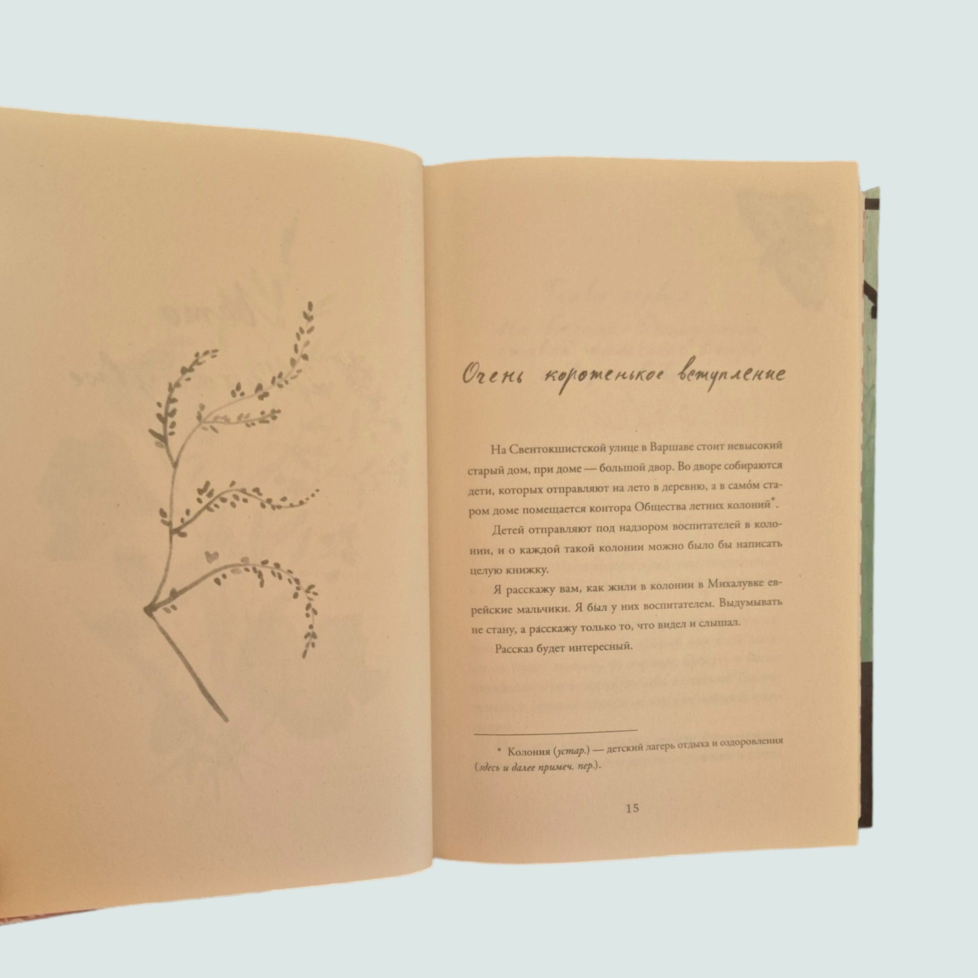 Лето в Михалувке. Лето в Вильгельмувке