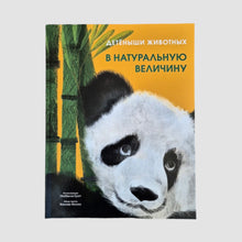 Загрузить изображение в средство просмотра галереи, Детёныши животных в натуральную величину
