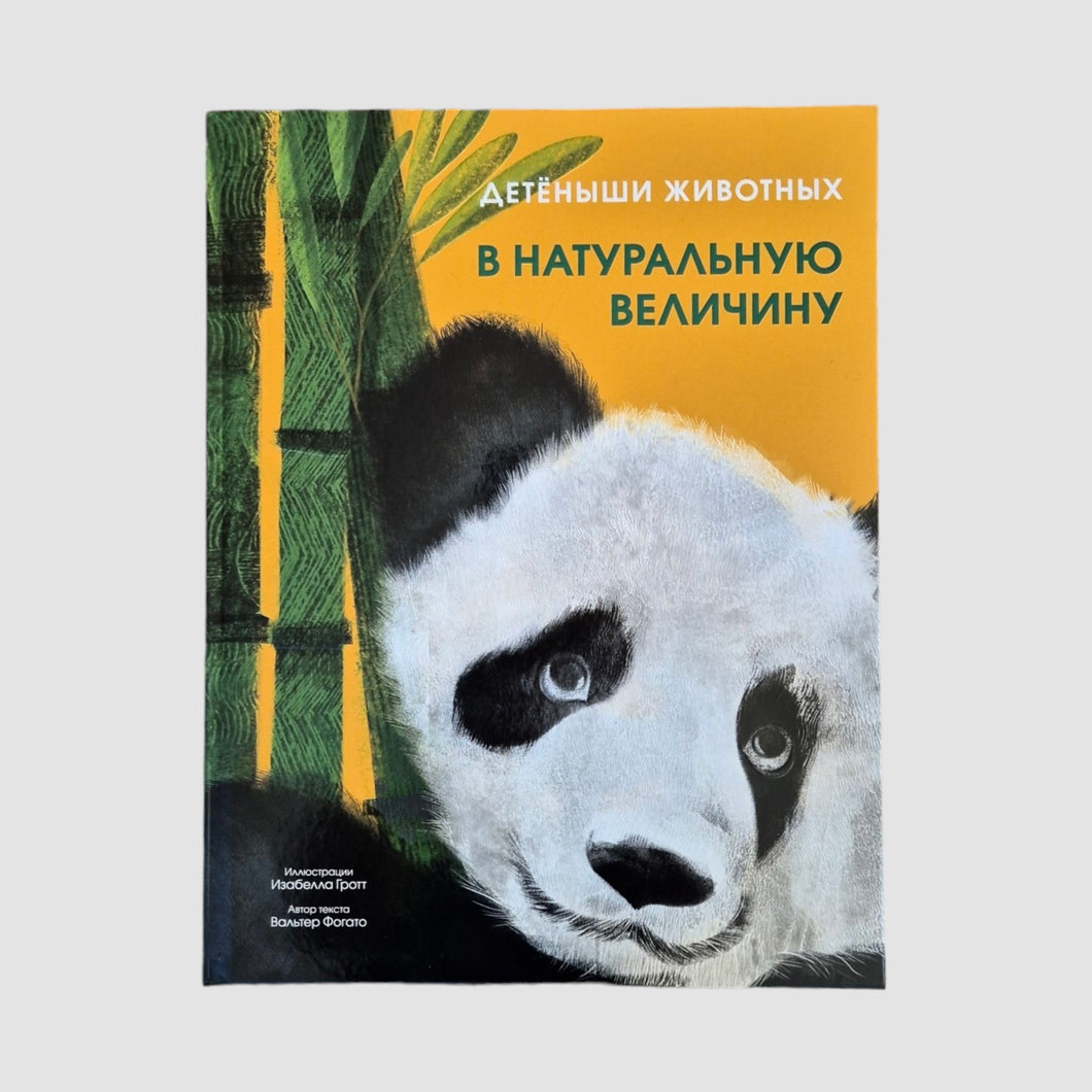 Детёныши животных в натуральную величину