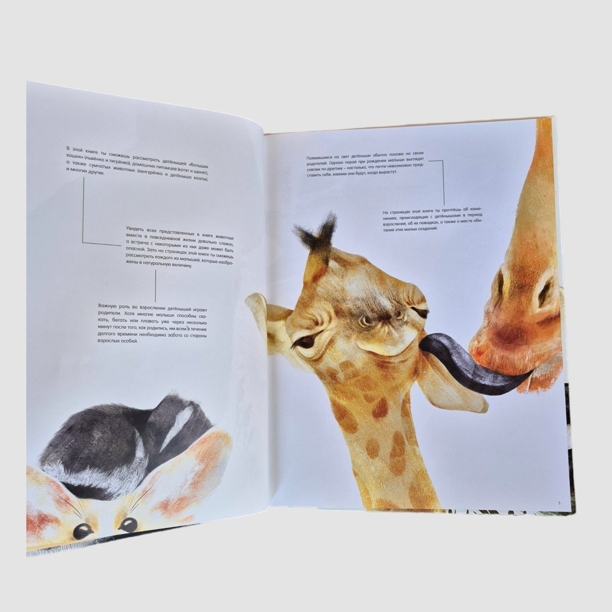 Life-size baby animals