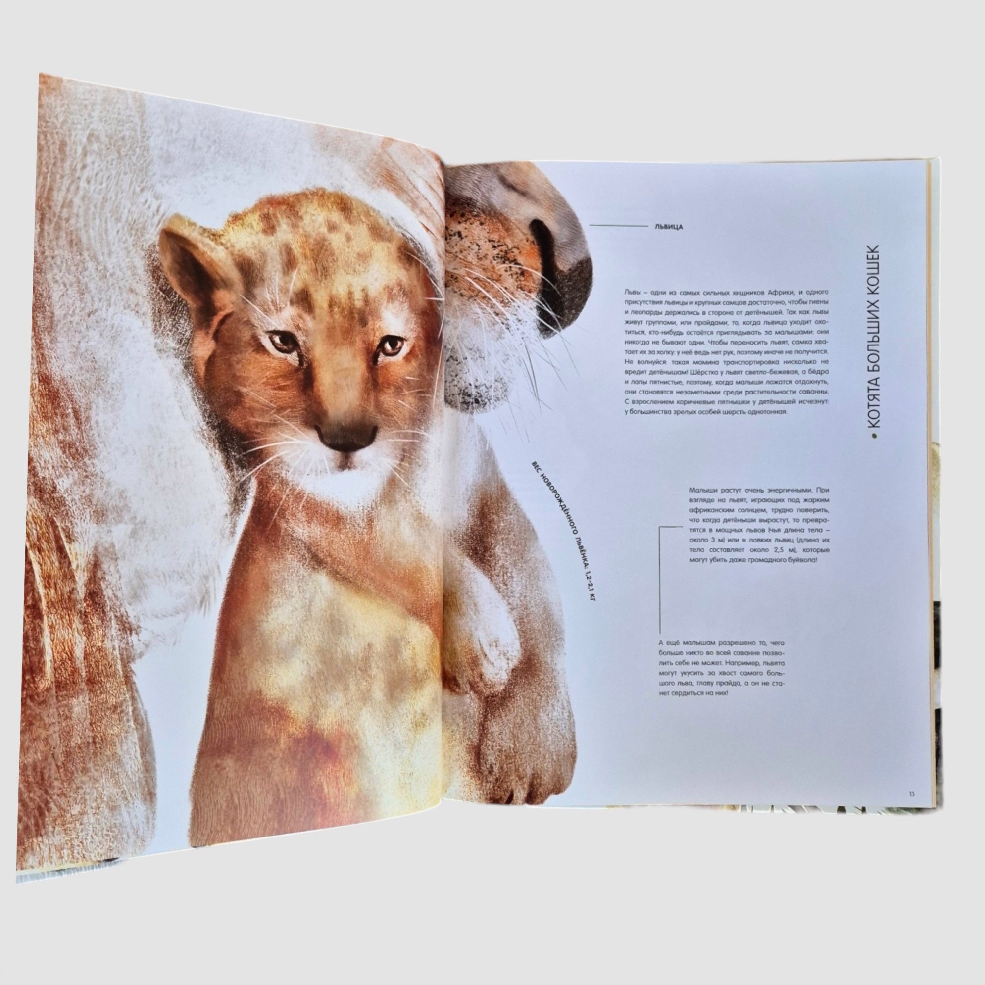 Life-size baby animals
