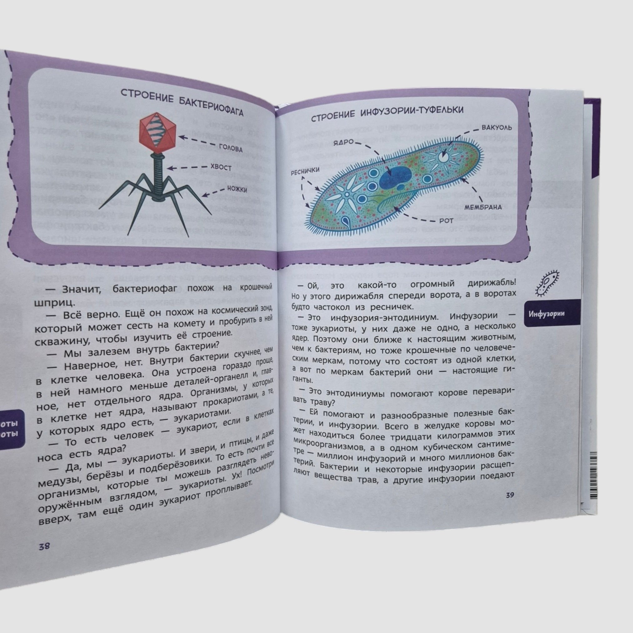 Вирусы и микробы. Детская энциклопедия (Чевостик)