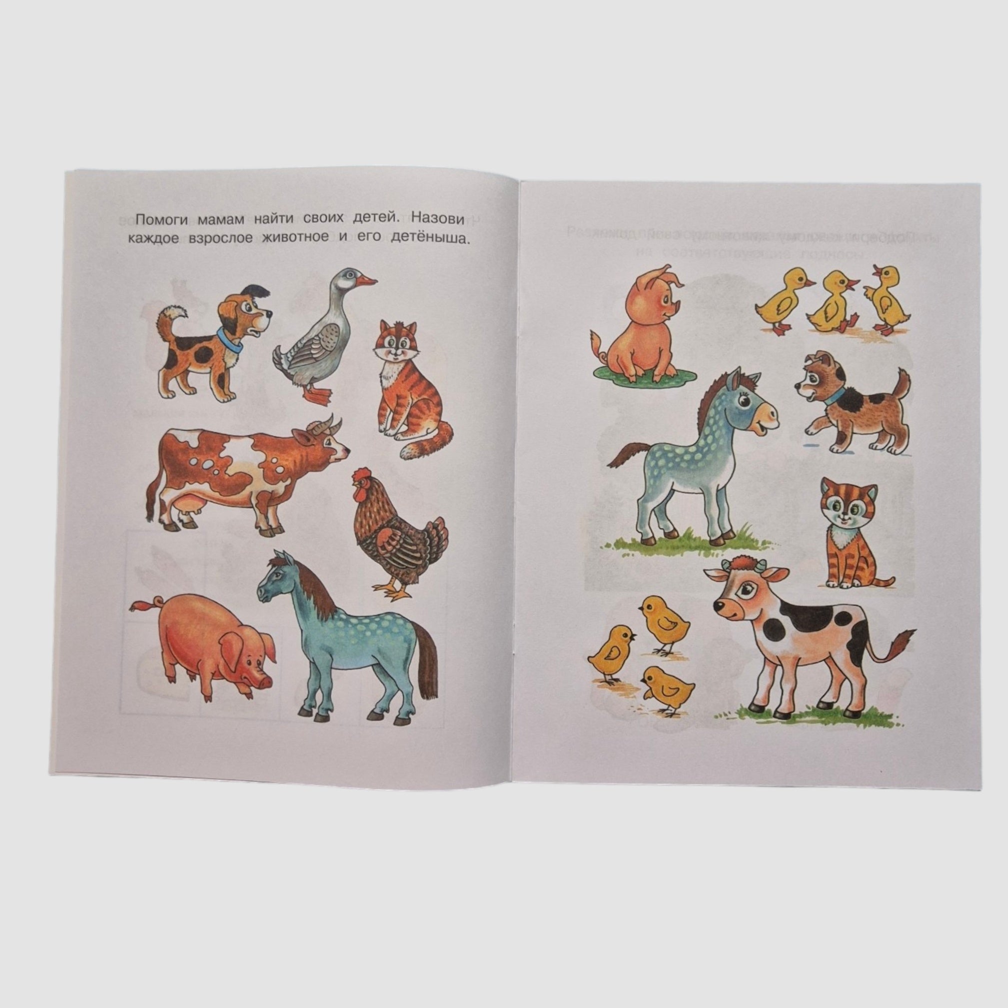 What Surrounds Us. Learning About the World (3-4 years)