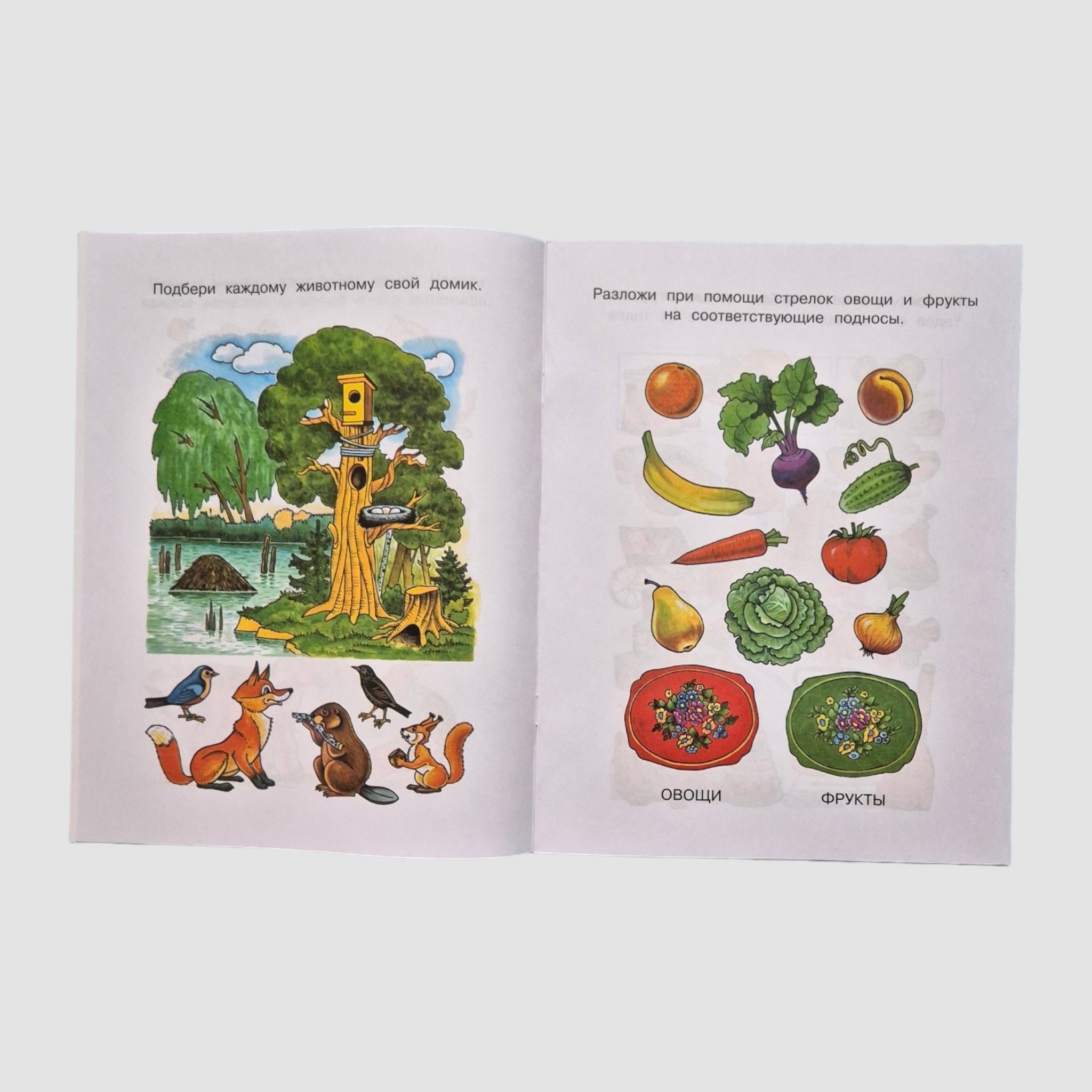 What Surrounds Us. Learning About the World (3-4 years)