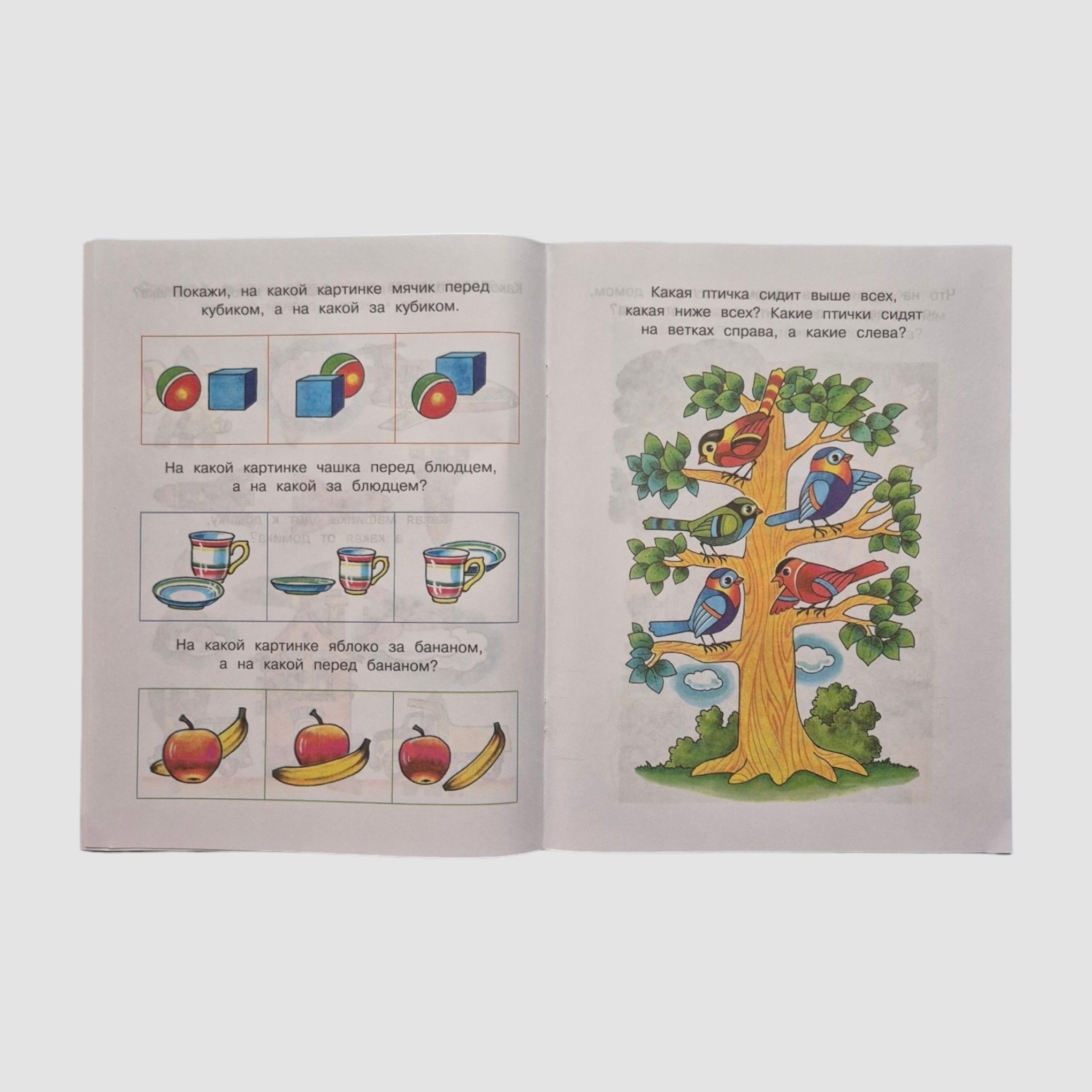 Right-left, up-down. Orienting ourselves in space (3-4 years)